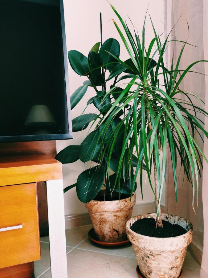 Kintsugi House לאגוּ‏ש מראה חיצוני תמונה
